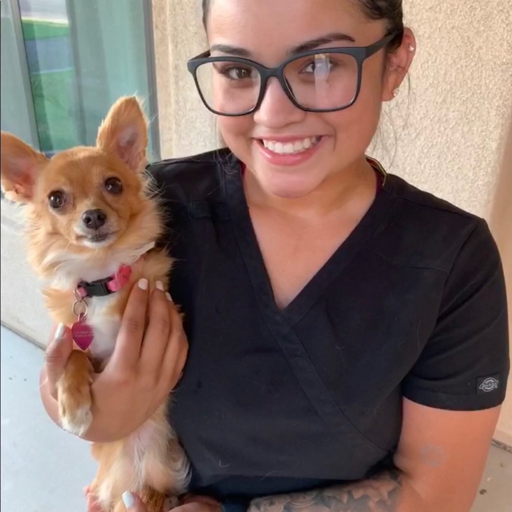 Meet your Posher, Cerryiah